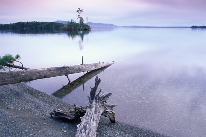 foggy morning in Lily Bay State Park, Maine