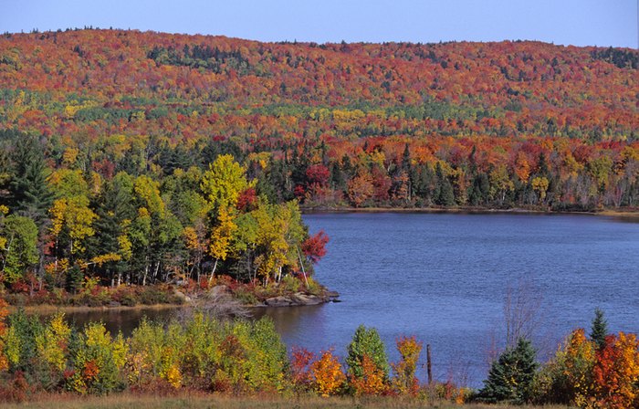 foliage on Moosehead Lake, Maine