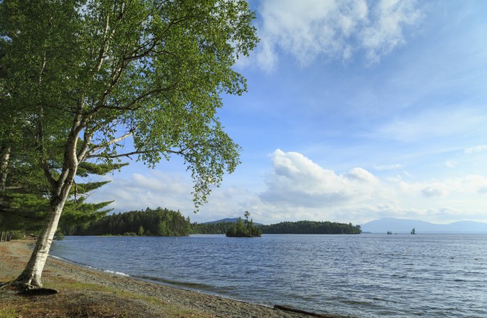 summertime in Lily Bay State Park, Maine