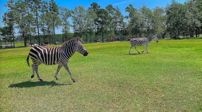 eudora wildlife safari park updates