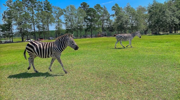 eudora wildlife safari park