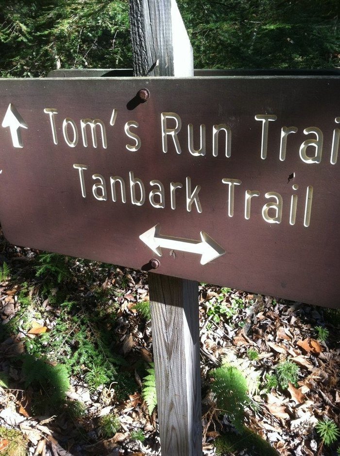 Tanbark trail allegheny national forest store