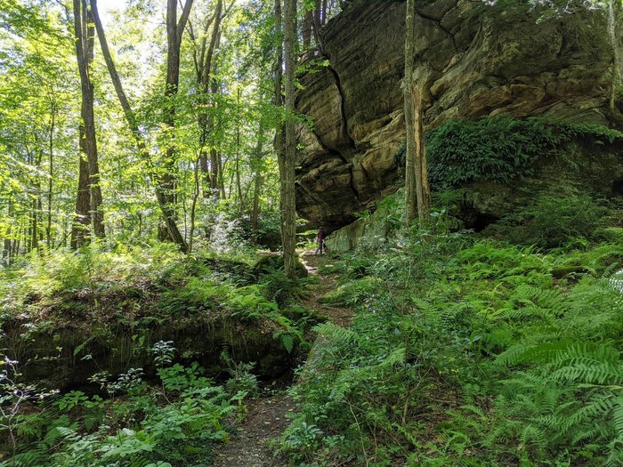 Tanbark Trail In Pennsylvania Is A Beautiful, Remote Hike