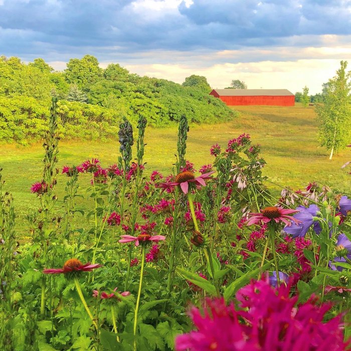 Venture Down The Shores Of Lake Champlain On This Adirondack Wine Trail ...