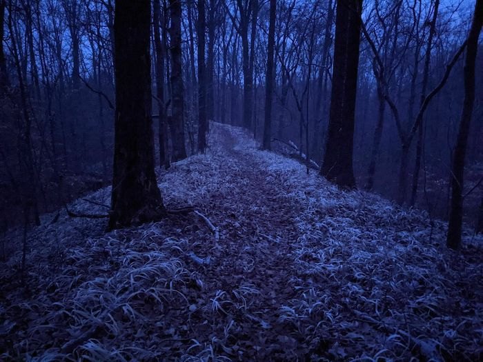 night time on Godwin Trail in Illinois
