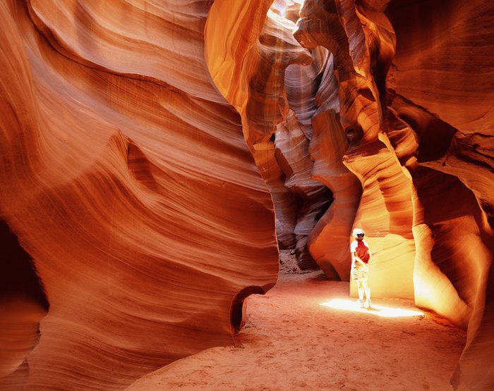 are dogs allowed in antelope canyon