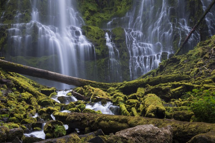 This Easy Hike In Oregon's Willamette National Forest Ends At A Waterfall