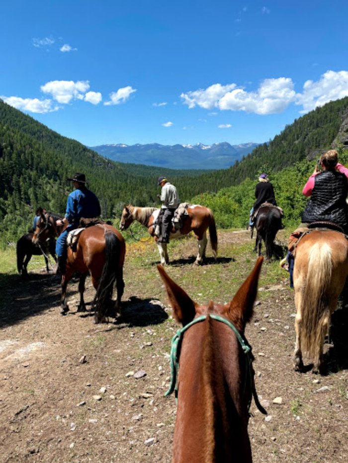 See The Swan Valley On Horseback On This Guided Montana Trail Ride