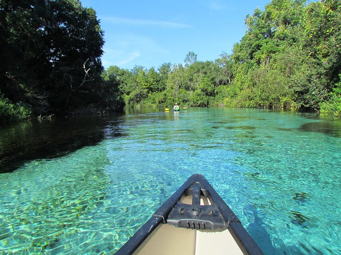 Kayak The Weeki Wachee River In Florida For Pure Natural Beauty