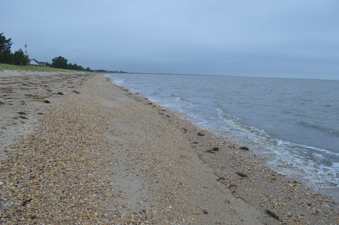 Slaughter Beach Is The Best Place In Delaware To Pick Up Seashells