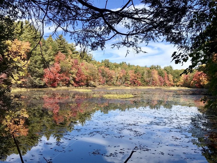 Escape To Nature’s Playground: A Guide To Callahan State Park In Massachusetts