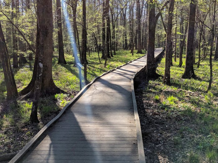 The Trail At Chicot State Park Will Lead You On An Enchanting Journey