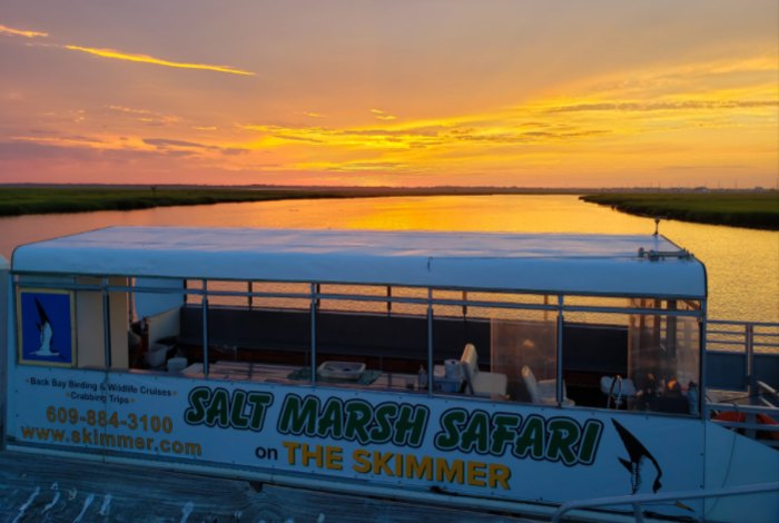 salt marsh tour cape may