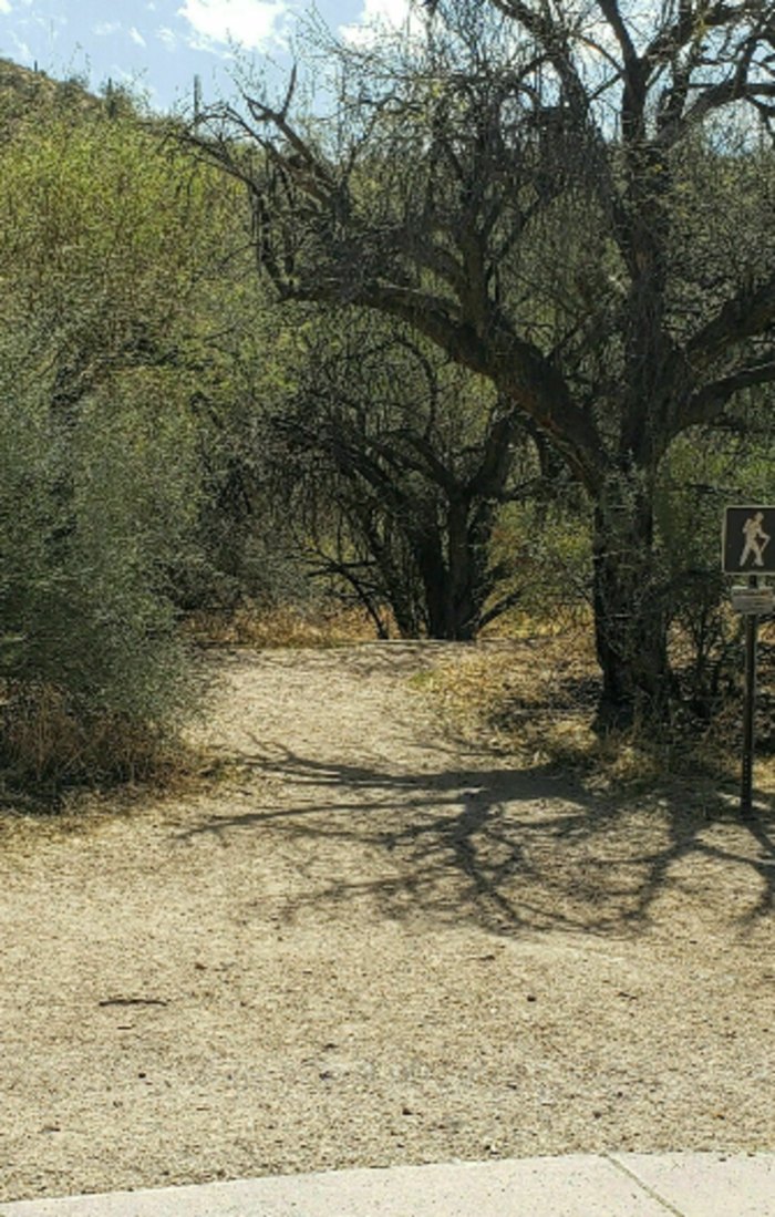 Butcher Jones Trail: Best Hike Near Apache Junction, Arizona