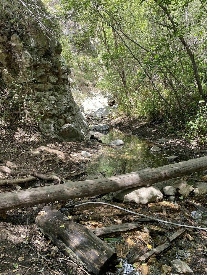 a mix of terrain on Trail Canyon Falls in California