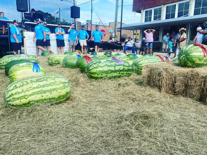 Don't Miss The Louisiana Watermelon Festival In Farmerville