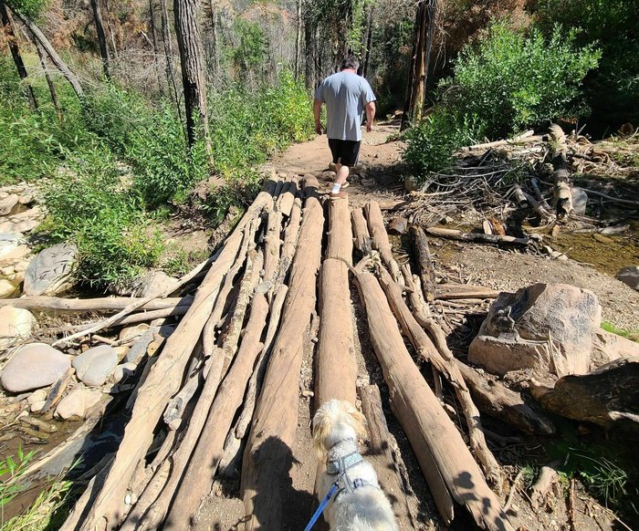 waterfall trail in Utah