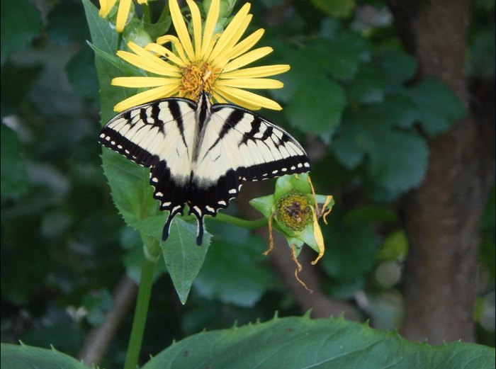 Nature Parks In Indiana