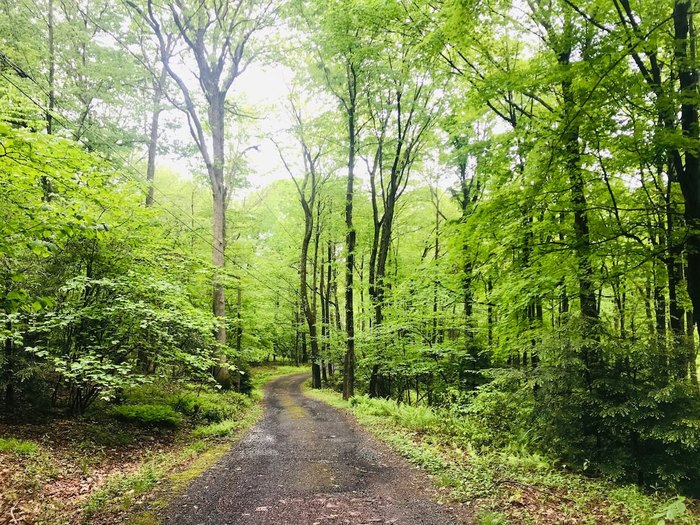 Wake Up On A Mountain At This Pocono Mountains Airbnb In Pennsylvania