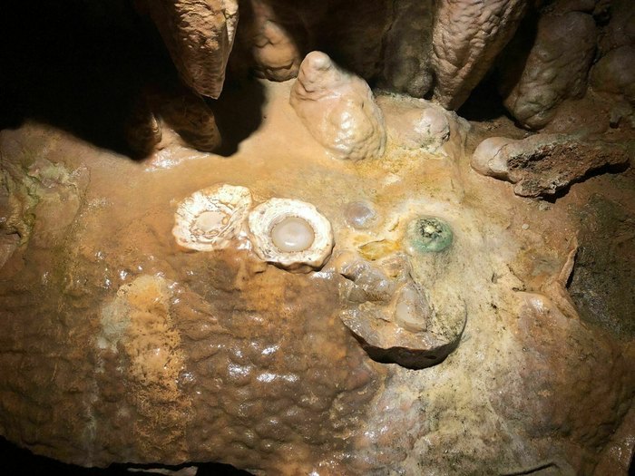 calcite formations in Luray Caverns in Virginia