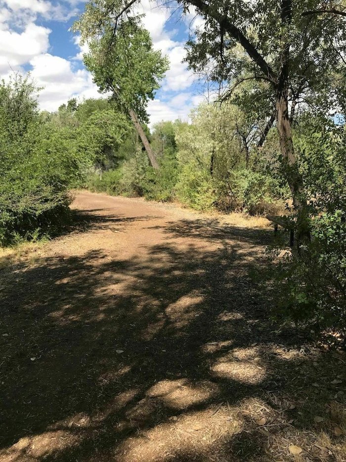 Walk Along The Animas River On This Family-Friendly Hike In New Mexico