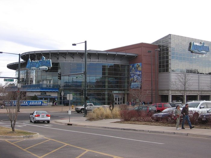 The Downtown Aquarium In Colorado Named Best In The Country