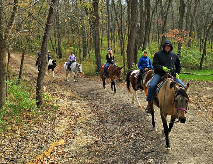 Visit Shimek State Forest By Horse At Westercamp Rent A Horse In Iowa