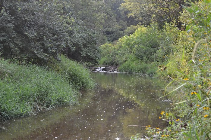 Thomas Mitchell Park - Campsite Photos