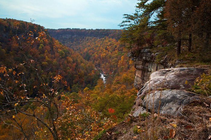 Experience Alabama's Beautiful Fall Colors Along This Scenic Drive