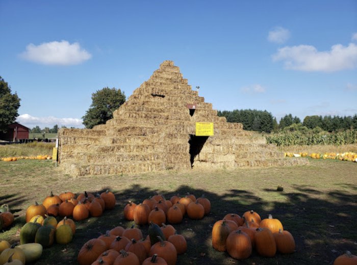 Hop Aboard The Boo Train At This Pumpkin Patch In Canby, Oregon