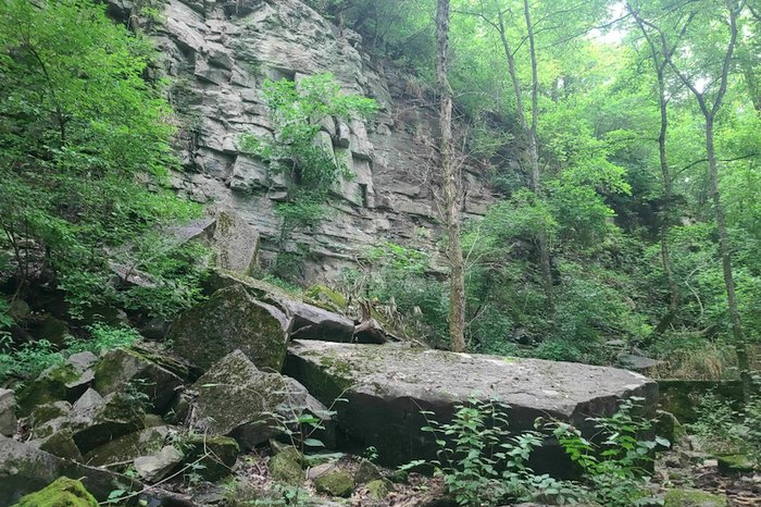 A Mysterious Woodland Trail Near Nashville Takes You To A Hidden Lake