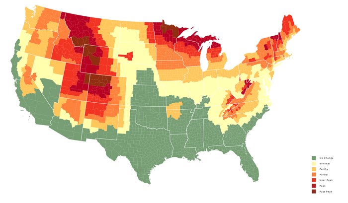 When And Where To Expect Idaho's Fall Foliage To Peak This Year