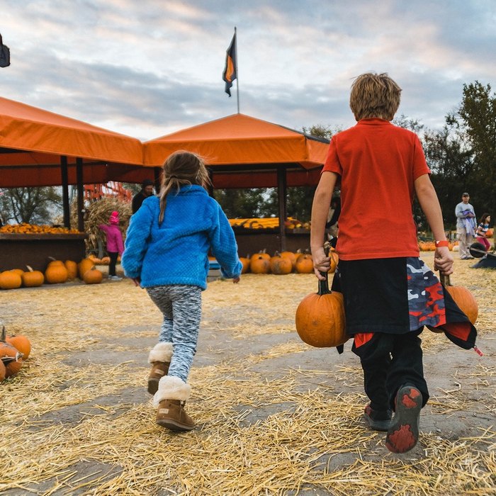 Sever's Fall Festival In Minnesota Is A Classic Fall Tradition