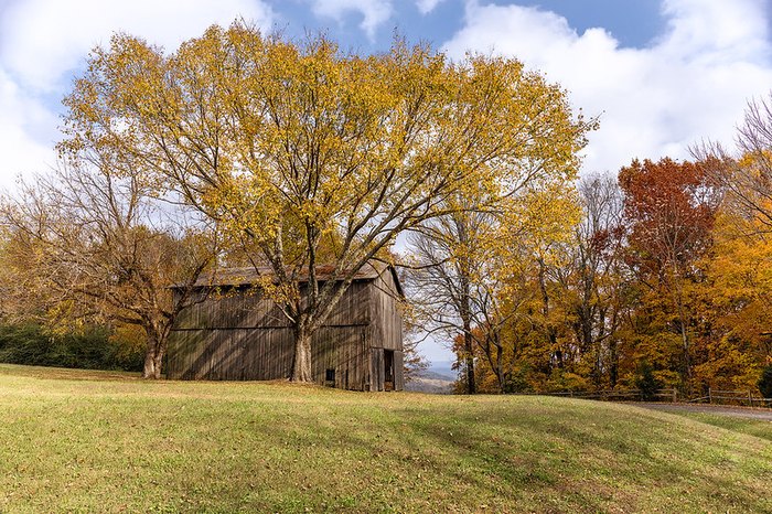 Take A Trail Ride On Horseback At Natchez Trace Stables In Tennessee