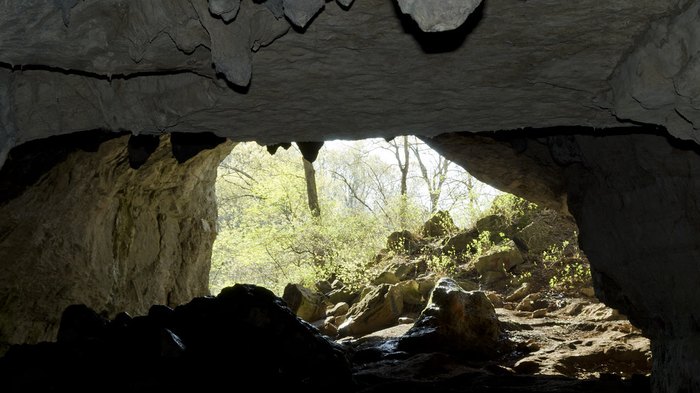 Blowing Cave In Arkansas Is An Entrance To A Secret World