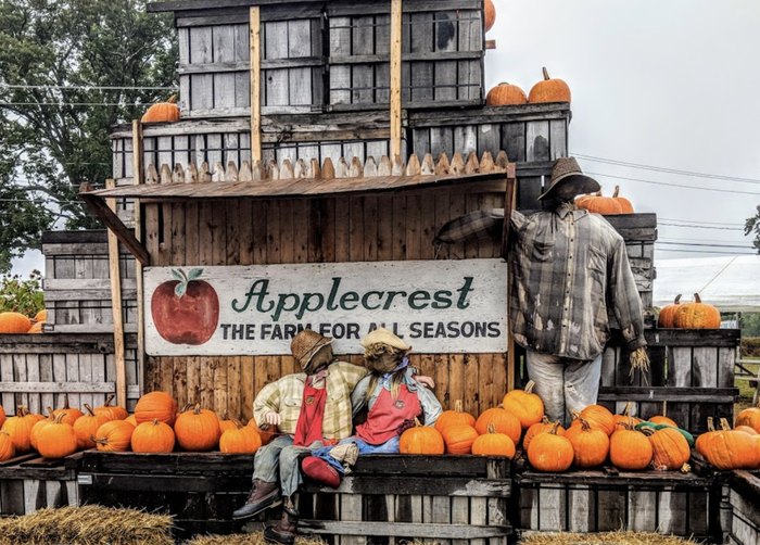 The Applecrest Farm Fall Harvest Festival In New Hampshire Is A Classic