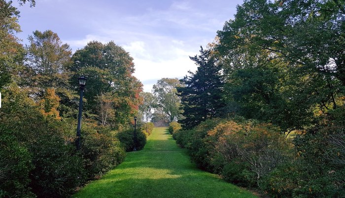 Fall Is The Best Time To Visit The Connecticut College Arboretum