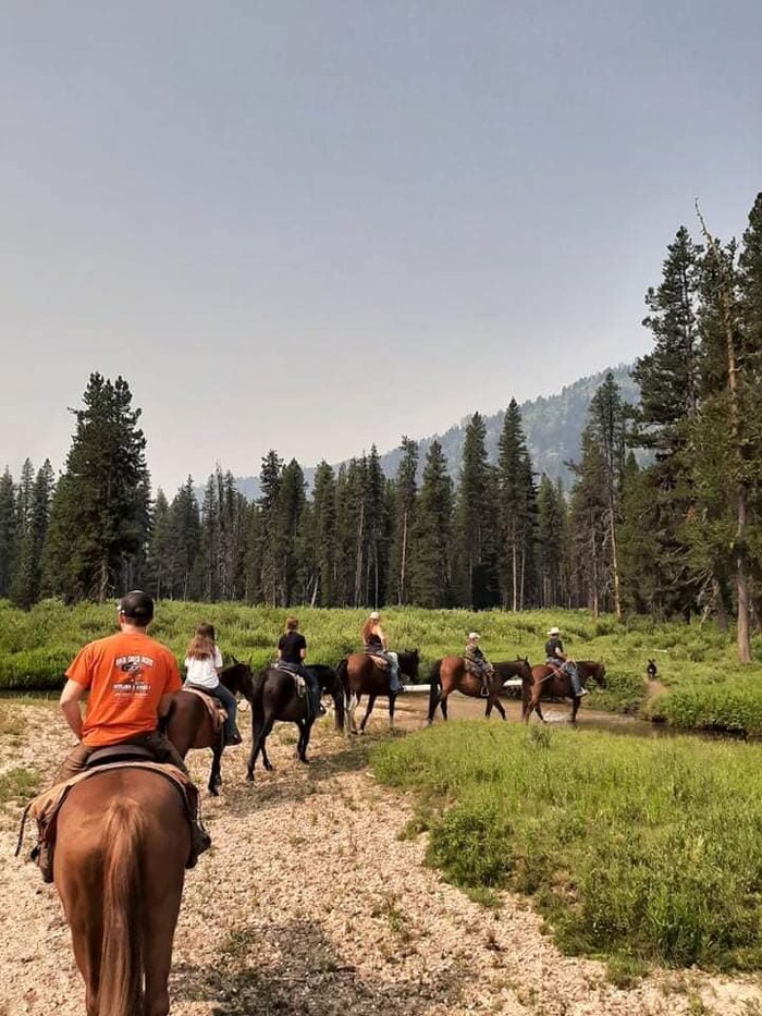 Saddle Up And Take A Fall Foliage Trail Ride On Horseback In Idaho