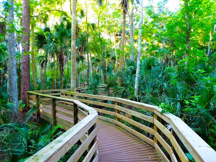 The Black Bear Wilderness Trailhead In Florida Is Quite The Hike