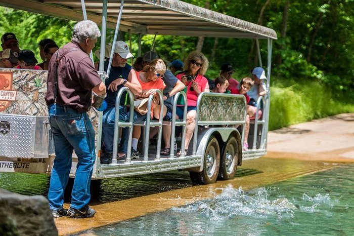 wildlife tram tours