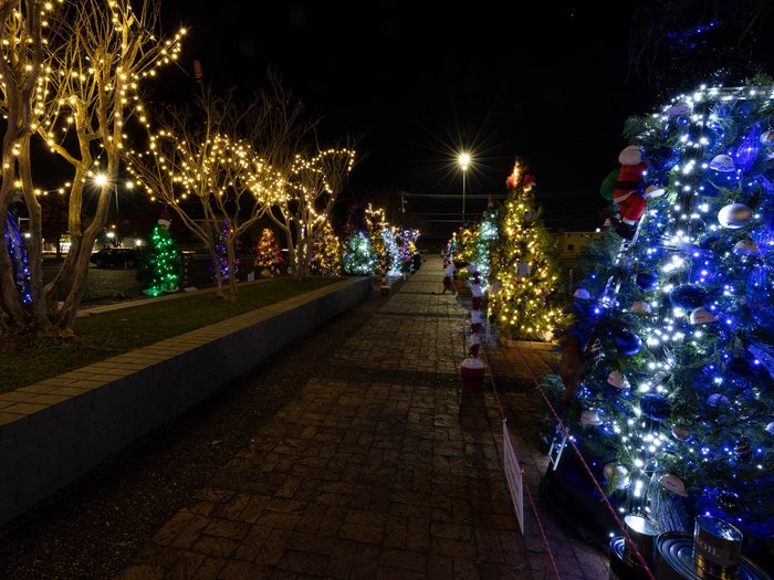 Visit This Winter Wonderland For Christmas Lights In Mississippi