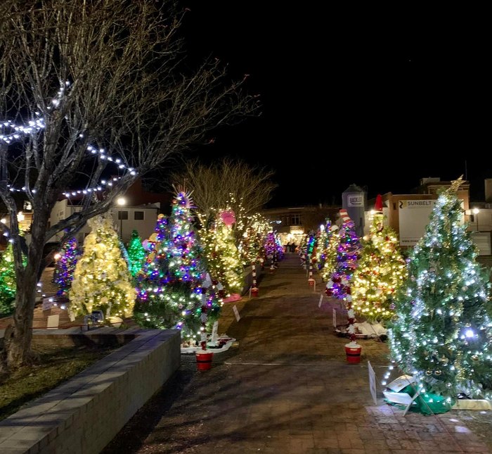 Visit This Winter Wonderland For Christmas Lights In Mississippi