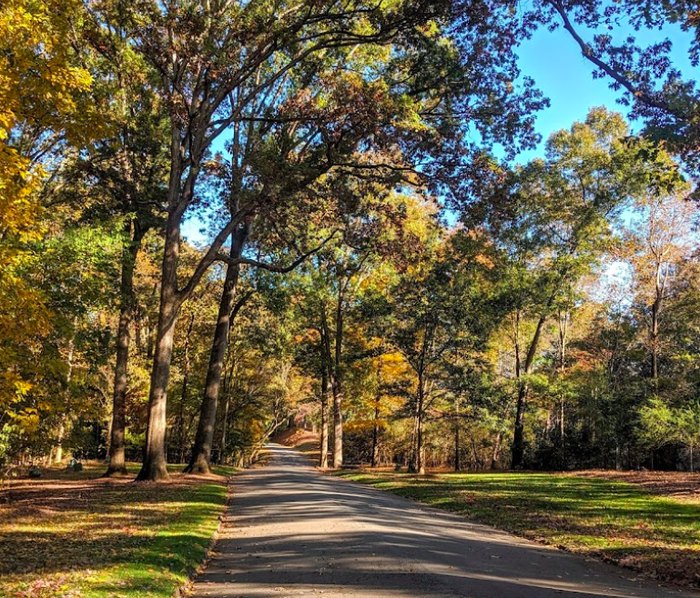 Explore A Secret Suspension Bridge In Lullwater Preserve In Georgia