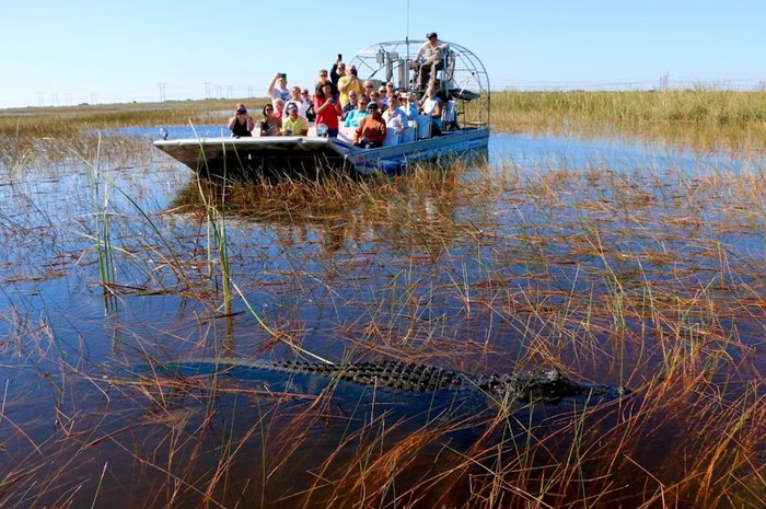 Sawgrass Recreation Park - All You Need to Know BEFORE You Go (with Photos)