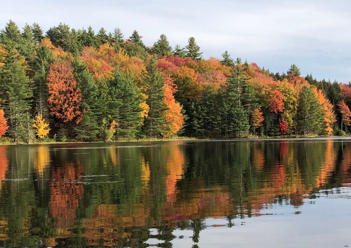 Enjoy Nature When You Kayak On This Pond In Vermont