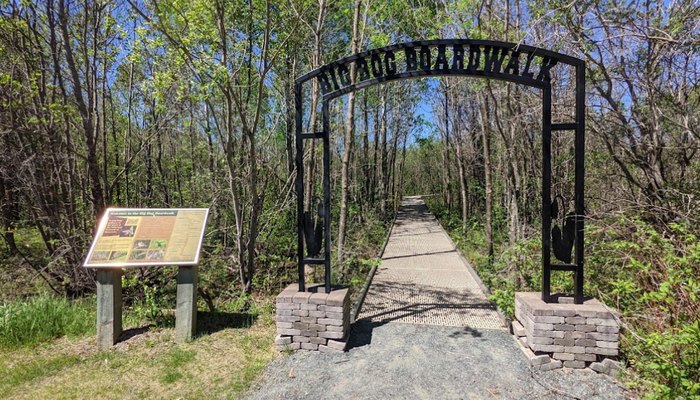 This Secluded Bog Boardwalk In Minnesota Is So Worthy Of An Adventure