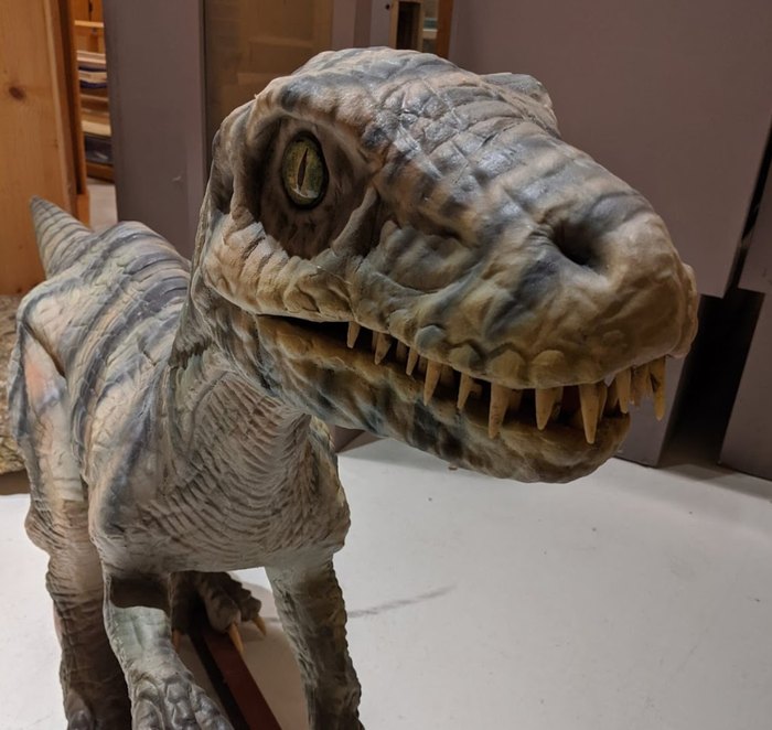 Appalachian Fossil Museum Is A Dinosaur Themed Attraction In North Carolina