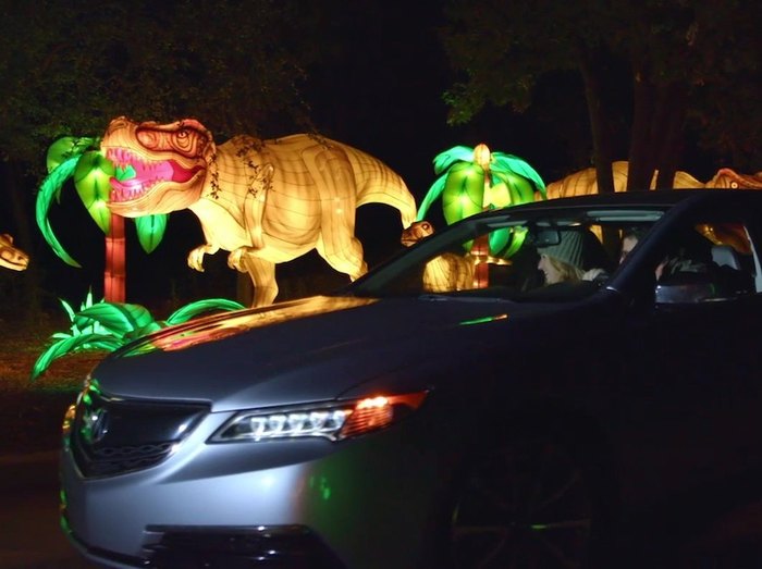 You Will Love The Dreamy Ride Through The Oklahoma City Zoo Safari