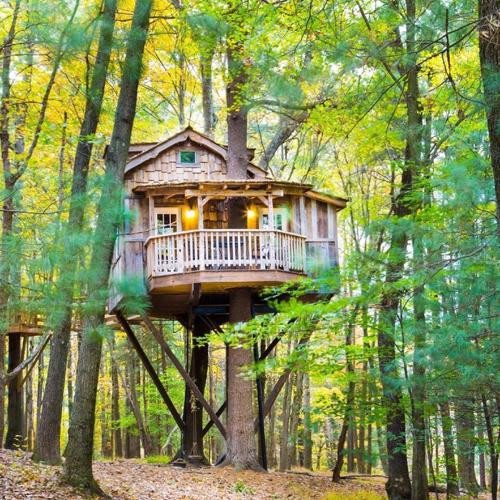 mohicans treehouse