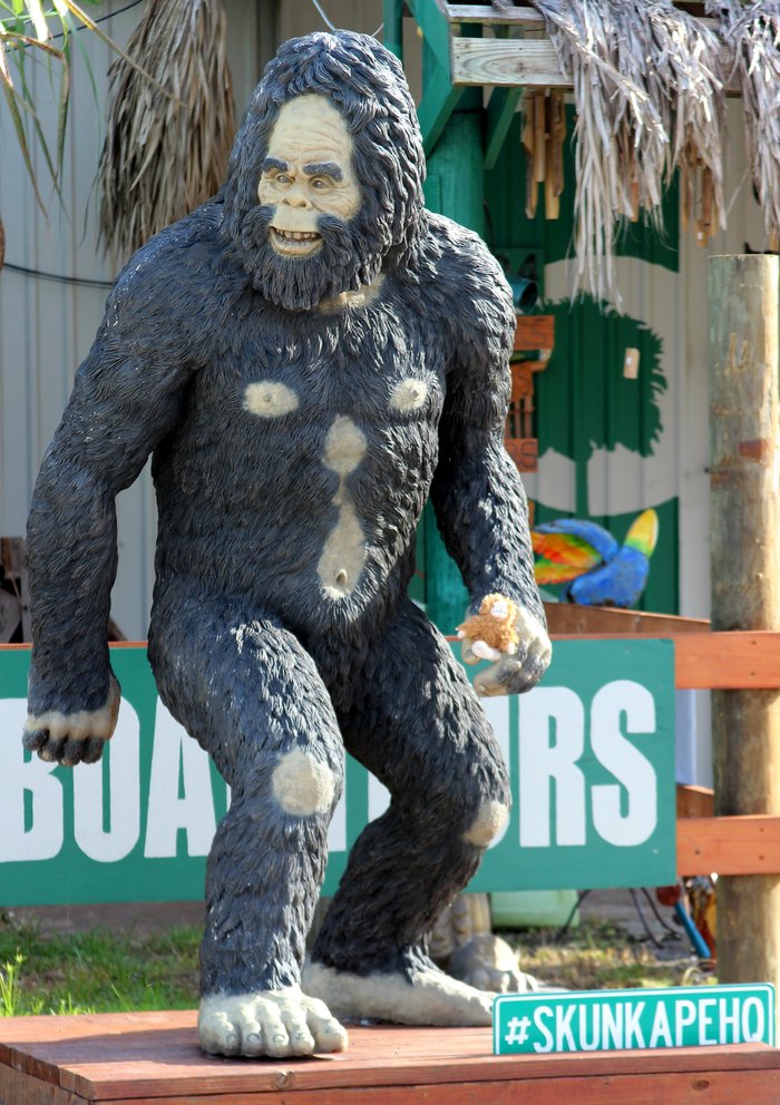 skunk ape circus tour